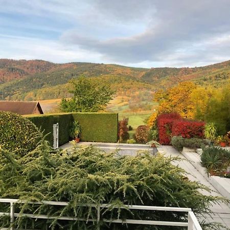 Logement De Charme Au Coeur De La Nature Osenbach Eksteriør bilde