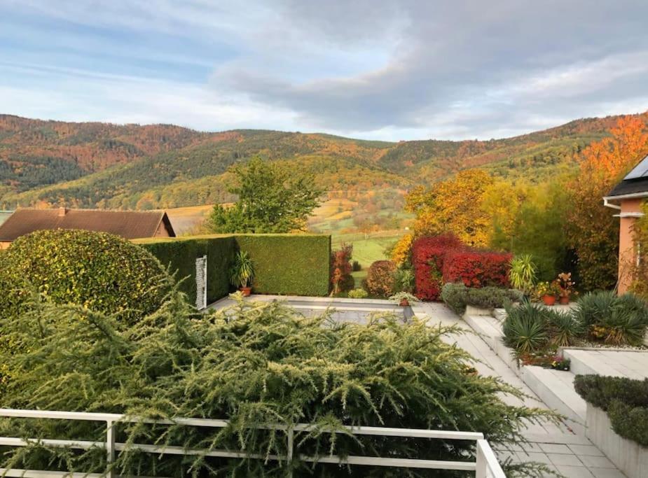 Logement De Charme Au Coeur De La Nature Osenbach Eksteriør bilde