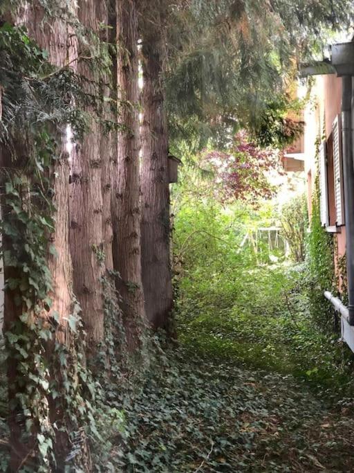 Logement De Charme Au Coeur De La Nature Osenbach Eksteriør bilde